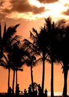 Beach Picnic For the soft drink commercial can we get Sheryl Crow
sitting on the beach under an umbrella singing her hit 'Soak up the Sun'
live w/ her Band <4:45> in a licenced brand product?