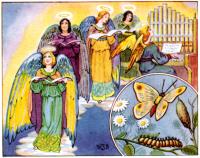 Five of them were foolish and five were wise.