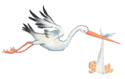 They have wings like the wings of a Stork